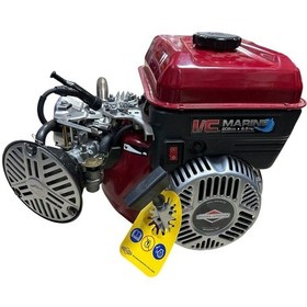 Resim Briggs & Stratton IC950 6.5HP Marine Benzinli Motor 