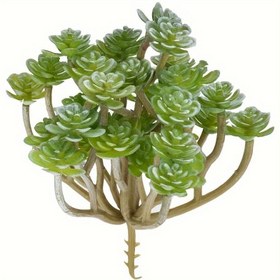 Resim Gerçekçi Haworthia Yapay Sukulent - Bakım Gerektirmeyen Yeşillik, Ev ve Balkon Atmosferi İçin, Buluşmalar İçin Mükemmel 