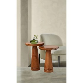 Resim Ahşap 2'li Set Mantar Yan Sehpa Modern Açık Ceviz Fiskos Zigon Çiçeklik 