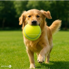 Resim markentegra 14 cm Boyutunda Dayanıklı Tenis Topu Köpek Oyuncağı 