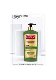 Resim Bioblas Onarıcı Bakım Saç Dökülmesine Karşı Phytokeratin Şampuan 1.000 Ml - Keratin Bakım, Yıpranmış Saçlar 