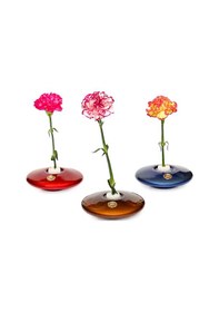 Resim Flora Design-elegance Kahverengi Cam Vazo Kahverengi 