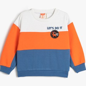 Resim Erkek Bebek Sweatshirt Renk Bloklu Bisiklet Yaka Şardonlu Aplike Detaylı Pamuklu 