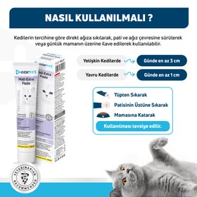 Resim OneVet Malt Extra Paste Tüy Yumağı Önleyici Kedi Maltı - 100 Gr 