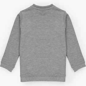 Resim U.S. Polo Assn. Erkek Bebek Gri Melanj Bisiklet Yaka Basic Sweatshirt 50316503-VR086 