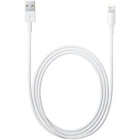 Resim Apple Lightning - USB Kablosu (0,5 m) - ME291ZM (Apple Türkiye Garantili) 