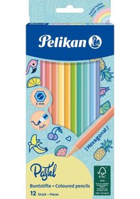 Resim Pelikan Kuru Boya Kalemi Pastel Renkler 12 Renk Kuru Boya 