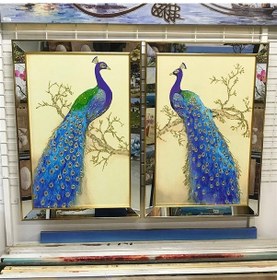 Resim Ayna Çerçeveli Tablo Ikili Tavus Kuşu 