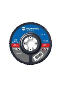 Resim Magmaweld Flapdisk Ao 40 Kum-115x22 MM-813m31154a 