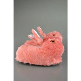 Resim Sevimli Tavşan Figürlü Gülkurusu Peluş Panduf Kadın Beden 31 - 34 Konforlu Kullanım 