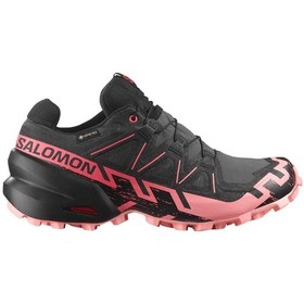 Resim Salomon Speedcross 6 Gore-tex Siyah Kadın Outdoor Siyah 