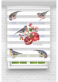 Resim Perdecizade Enxboy Nar Ve Kuşlar Dijital Baskılı Zebra Perde-cocuk Odası-stor Perde Pz-2593 Renkli 