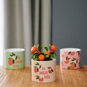 Resim KPM Dekoratif Fruit Saksı - Turuncu - 12 cm 