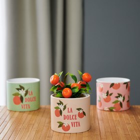 Resim KPM Dekoratif Fruit Saksı - Turuncu - 12 cm 