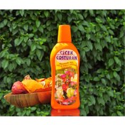 Resim Skygo Çiçek Coşturan Mevsimlik Fide Gül Bahçe Bitkileri İçin 