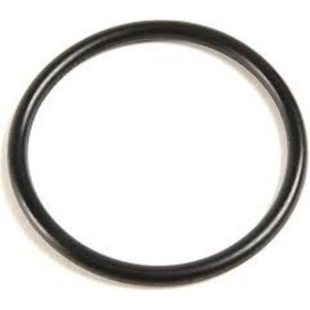 Resim Volkswagen Golf 4 5 Jetta Passat T5 Caddy 1997 Sonrası Termostat O-Ring 