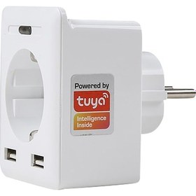 Resim S-link Swapp SL-04 10A 2 USB 2.4 Ghz Wifi Tuya Destekli Akım Korumalı Akıllı Priz 