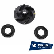 Resim Bajaj Pulsar 200 Ns Su Pompa Rotoru Set (535391640) 