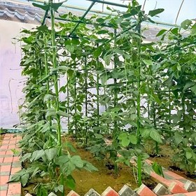 Resim 20 Parça Set: 8 Destek Kazıkları + 4 A-Klip + 4 Bağlantı Tüpü + 4 Konnektörler - Tırmanan Bitki Hasat Çantası Plastik Çelik Domates ve Salatalık Asma Direği 