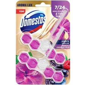 Resim Domestos Wc Blok Hibiskus & Kırmızı Meyveler 2x50 G 