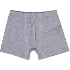 Resim Domi Kids Gri-Siyah 2-8 Yaş Erkek Çocuk 2'li Boxer - Standart / 4-5 Yaş 