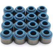 Resim Leezsing Viton Malzeme Mavi Vana Mafsalları, 12x8x2cm Boyut, 16 Adet, Ssı-lsı/ls6313x500-mcvvs Oem No. 