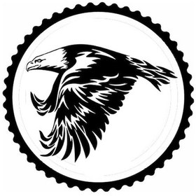 Resim Kartal Tasarım 5.model Sticker 10 X 10 Cm 