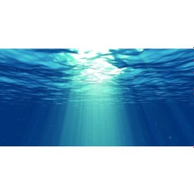 Resim Kanki Pet Akvaryum Arka Fon Yapıştırma 125x63 Cm Kp1256329 