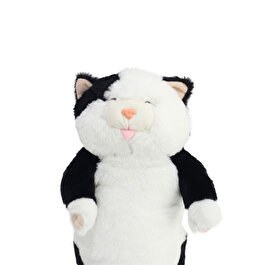 Resim Tombul Kedi̇ Si̇yah 