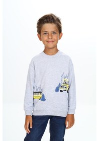Resim Toontoy Kids Toontoy Erkek Çocuk Relax Fit Bisiklet Yaka Hafif Düşük Omuz Baskılı Sweatshirt - Tk24556 Gri 