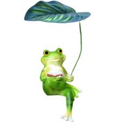 Resim Suntek Masaüstü Gölet Için Gerçekçi Bahçe Kurbağası 