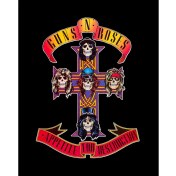 Resim Guns N Roses Appetite For Destruction Büyük Sırt Patch Yama 