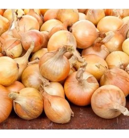 Resim Erdo Ticaret Kaliteli Soğan Çoklu Tohum - 5 Gram 
