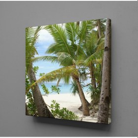Resim Palmiye Ağaçları Kanvas Tablo 25x25cm 