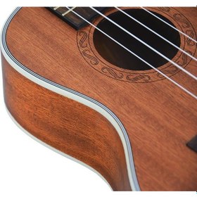 Resim Tayste Tuk200-24 Concert Ukulele 