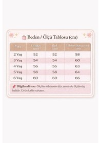 Resim Miss Liva Kız Çocuk Çiçek Detaylı Kat Kat Tül Abiye Elbise Bebe Mavi 2-6 Yaş Bebe Mavi 
