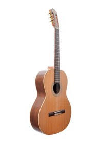 Resim Rodriguez Rc544mn Klasik Gitar 4/4 Gül Tam Boy Öğrenci Gitarı 
