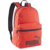 Resim Puma Diğer Aksesuar Phase Backpack III 