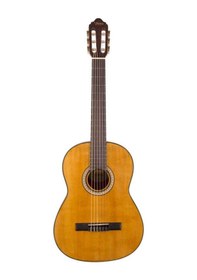 Resim Valencia Vc404 4/4 Klasik Gitar + Kılıf + Akort Cihazı + PenaNaturel 