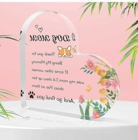 Resim Trendooze Stuffers Severler Köpek Köpek Kadınlar Kadınlar İçin İçin Hediyeler Çorap Anne Adet 1 İf 1 Adet 