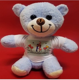 Resim Tişörtlü Mavi Ayı N-691 