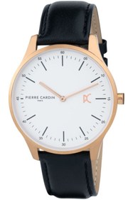 Resim Pierre Cardin Pccba.4006 