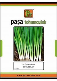 Resim Soğan - Beyaz Bilek - 10 Gr Taze Soğan 8 