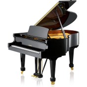 Resim W. Hoffmann Tradition T 161 