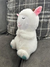 Resim Nefes Alan Uyku Arkadaşı Kuzu 