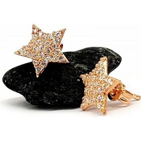 Resim Yıldız Figürlü Gümüş Rose Küpe N11.97057 