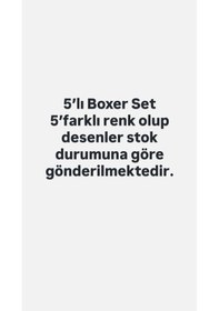 Resim Erkek Çocuk Desenli Boxer 5'li Renkli 
