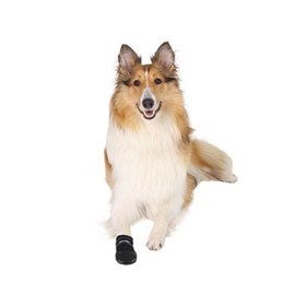 Resim Trixie Köpek Çorabı Neopren 2 Adet Siyah Medium 