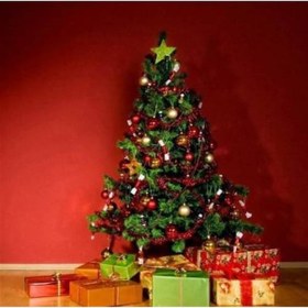 Resim 180 Cm Yılbaşı Ağacı 580 Gür Dallı Metal Gövde Metal Ayak 100 Süs Hediyeli 180 CM 