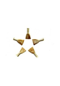 Resim Saz Zk5 Zurna Kamışı 5 Adet 